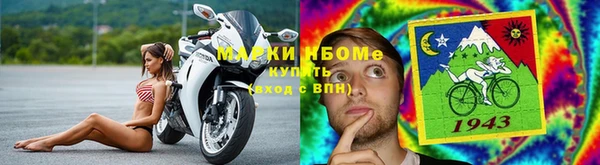 стаф Аркадак