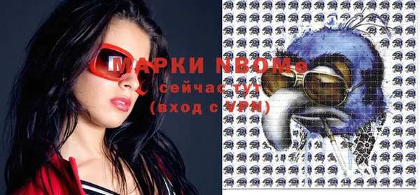 стаф Аркадак
