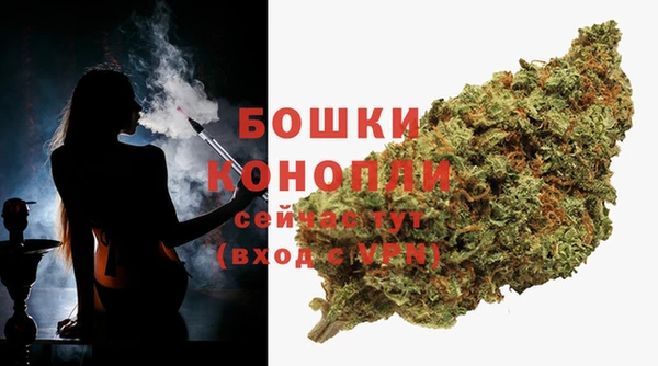 стаф Аркадак